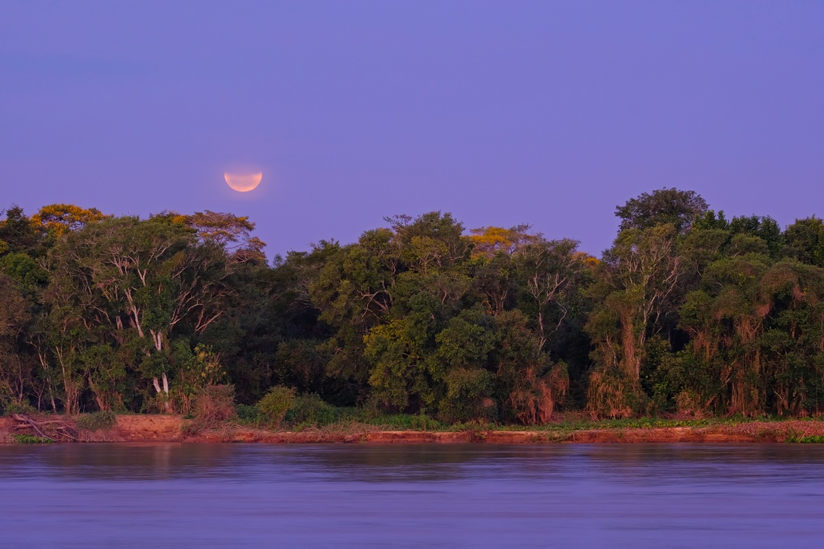 Imagem de lua de sangue no Mato Grosso do Sul - Metrópoles