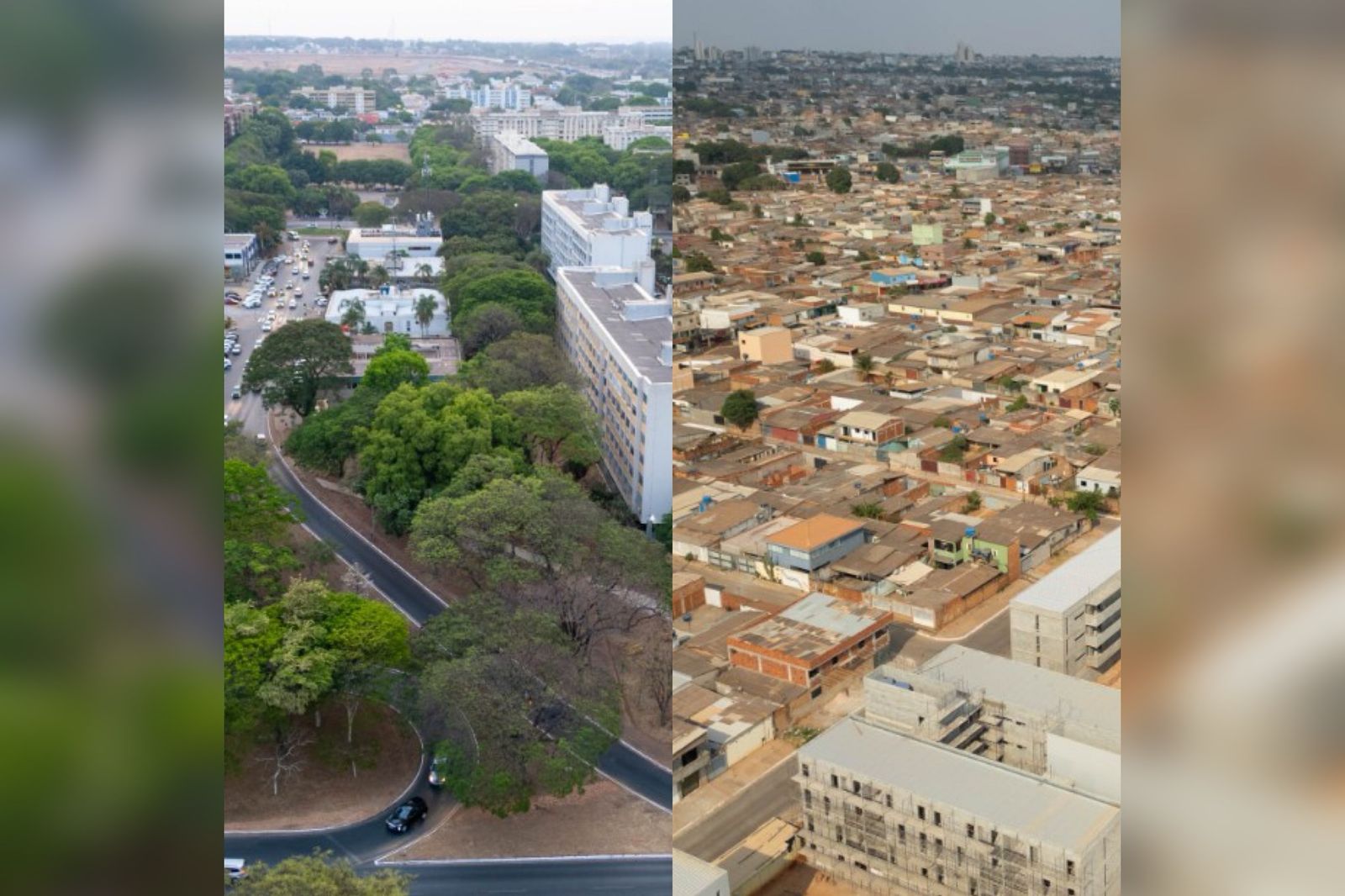 Projeto que prevê número igual de árvores em todo o DF é aprovado