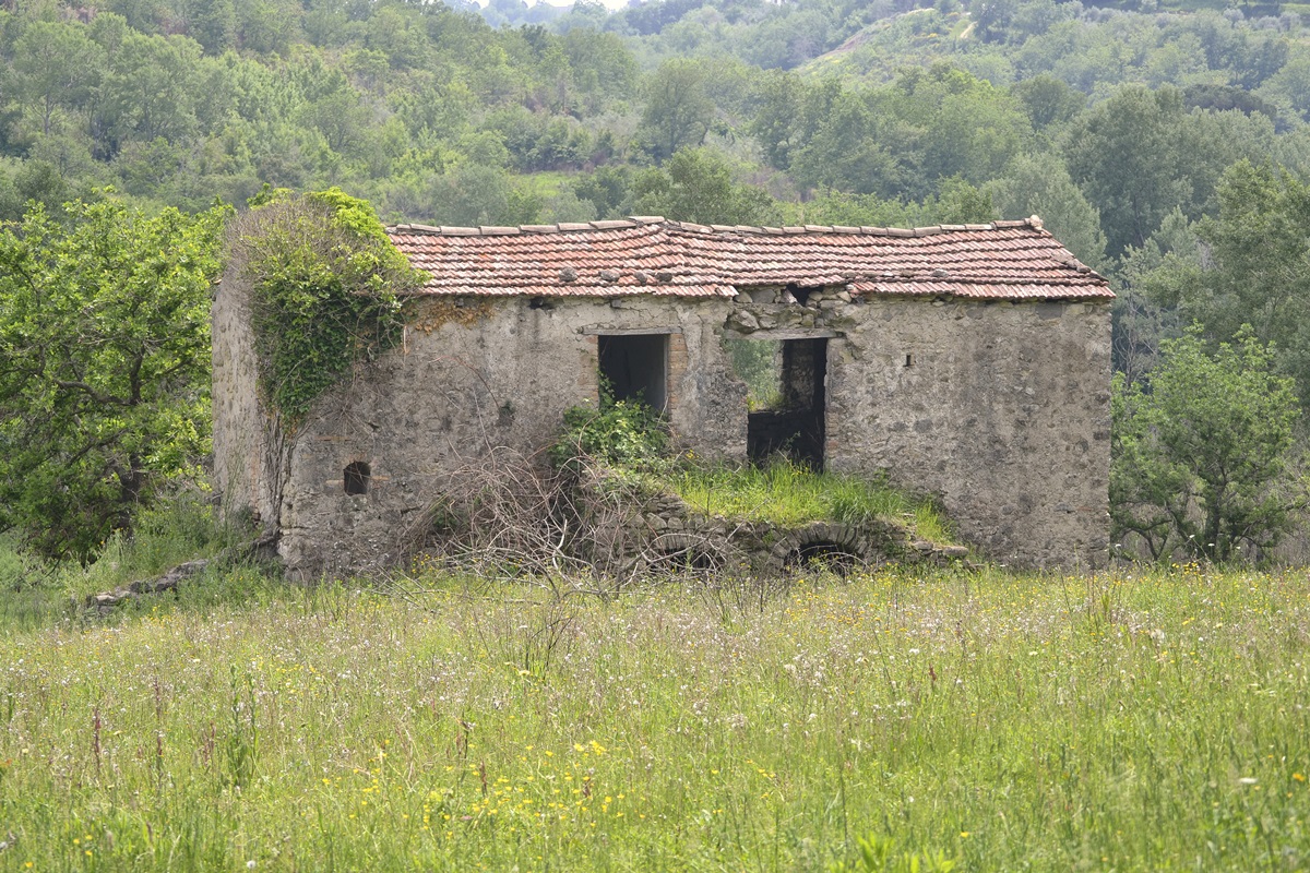 Foto de casa abandonada tomada por vegetação - Metrópoles 