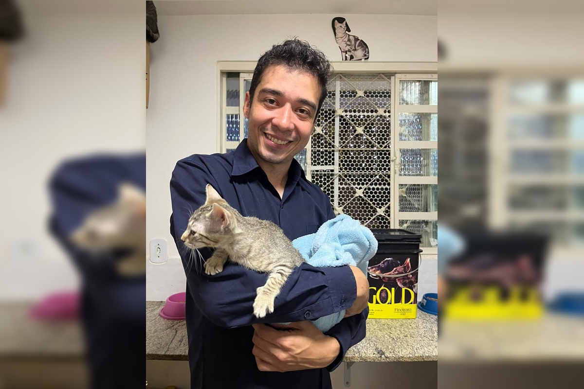 TJ nega pedido de soltura de psicólogo que torturou e matou 20 gatos