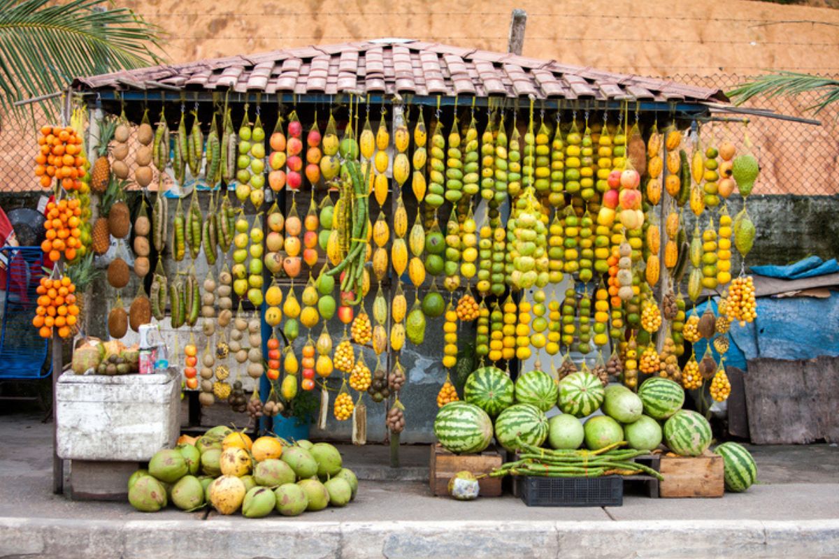 Fruta exótica do Cerrado combate o colesterol e fortalece a imunidade