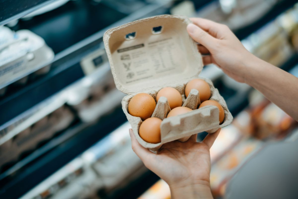 Gripe aviária: comer carne de aves e ovos é seguro, afirma Seagri
