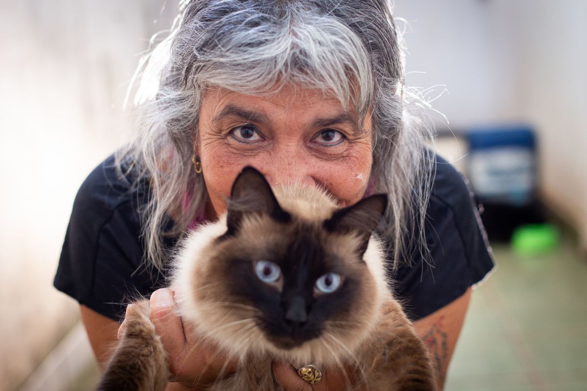 Brasília solidária: conheça pessoas que salvam vidas de animais no DF