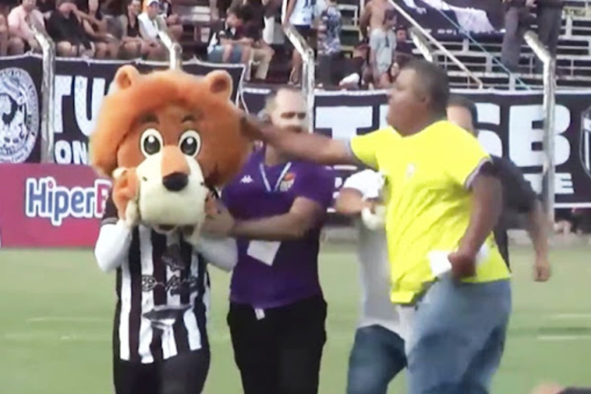 Vídeo: mascote provoca adversário e leva soco em jogo no interior