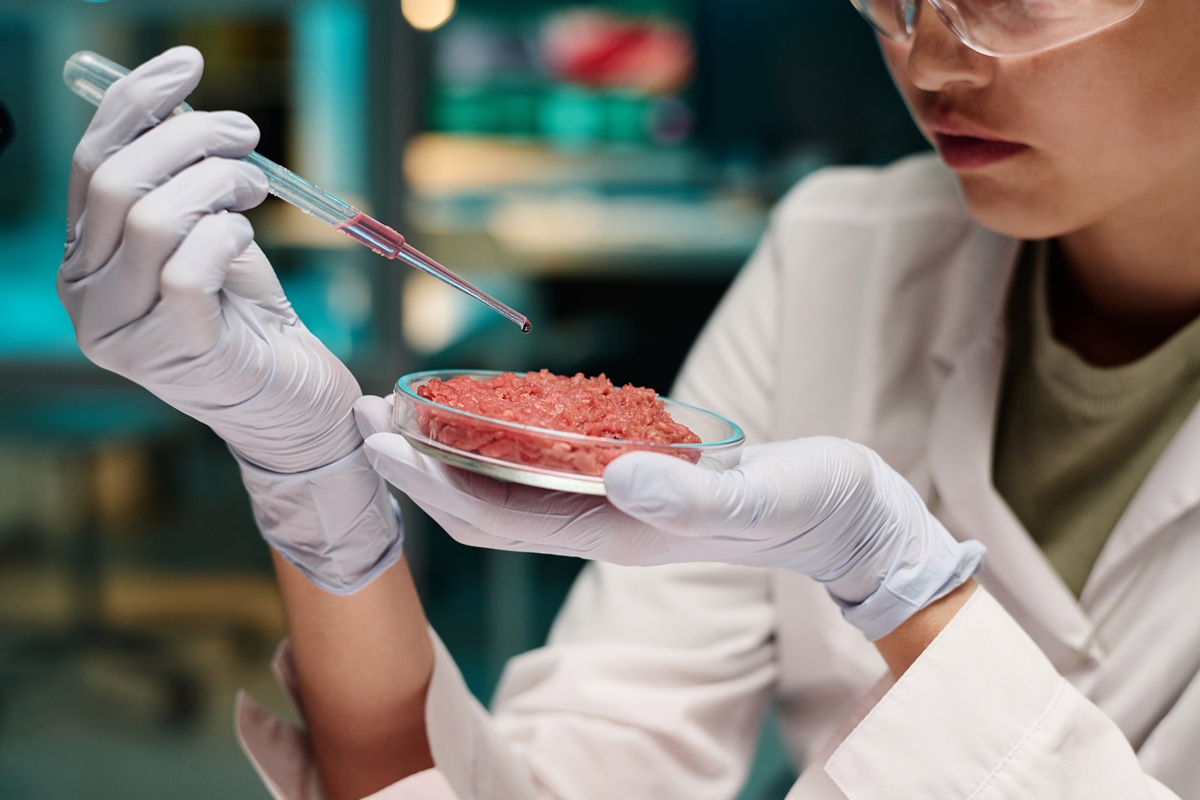 Carne cultivada em laboratório pode parecer nojenta, mas trará avanços