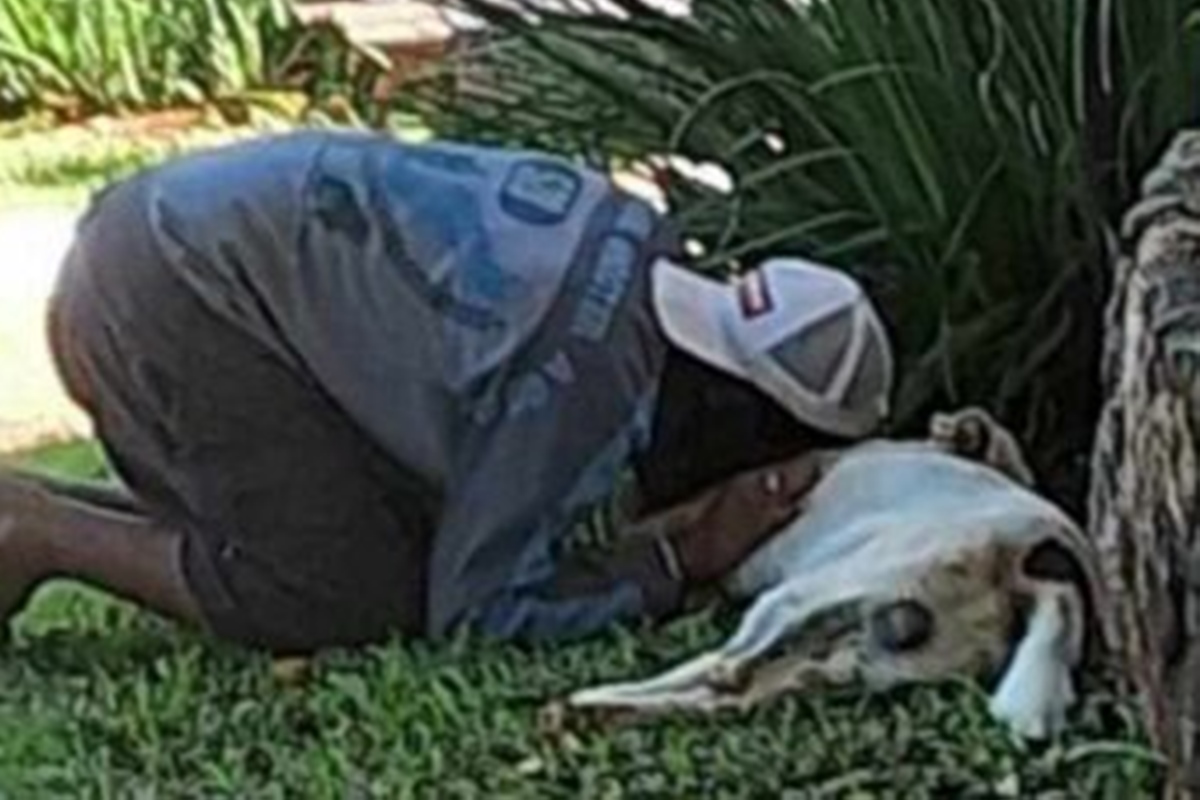 Foto de homem em situação de rua chorando após morte de cão comove web