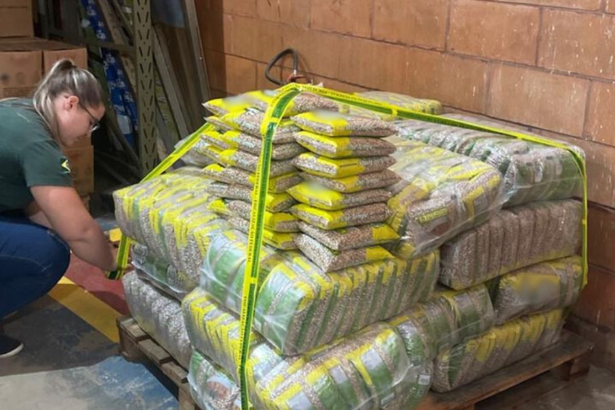 Fraude no arroz e feijão: governo apreende 32 ton de comida irregular