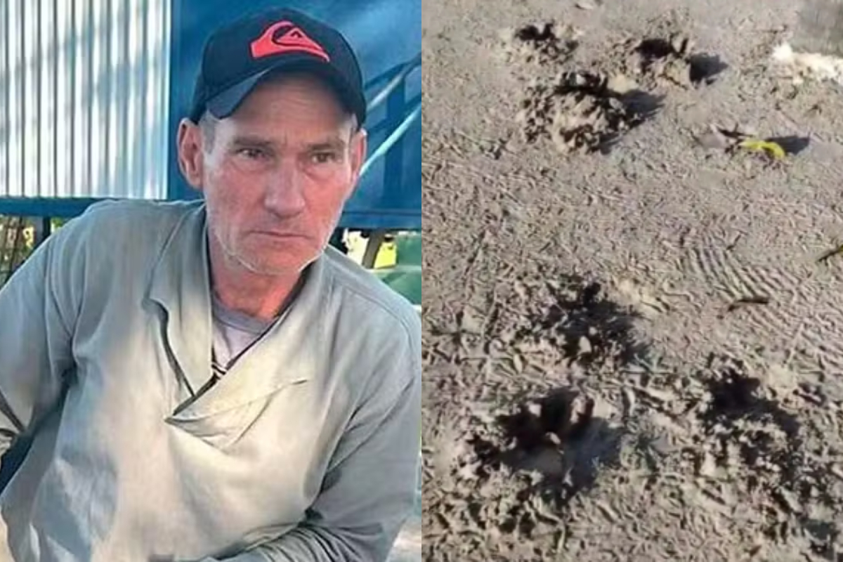 Vídeo mostra onça rondando local onde caseiro foi morto e devorado