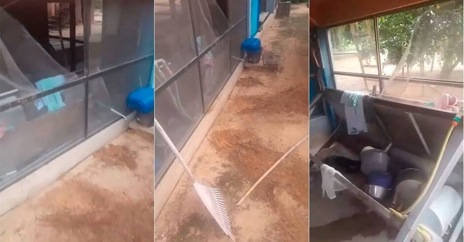 Onça que atacou e devorou caseiro retorna ao local à procura da “caça”