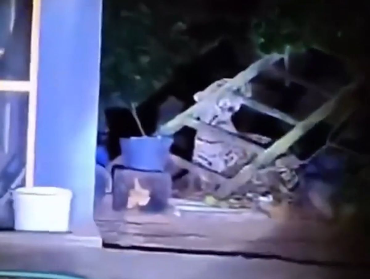 Vídeo: veja momento exato da captura de onça que devorou caseiro