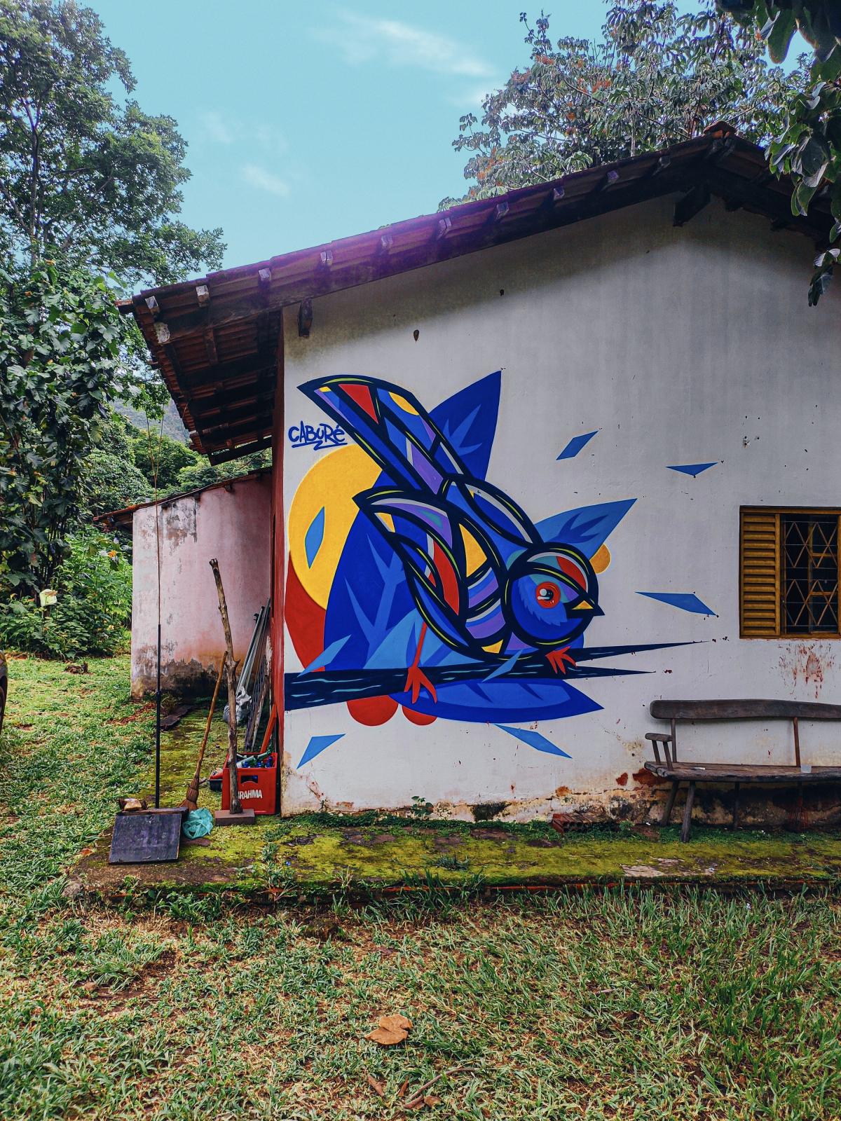 Na imagem com cor, foto do artista grafiteiro caburé - metrópoles