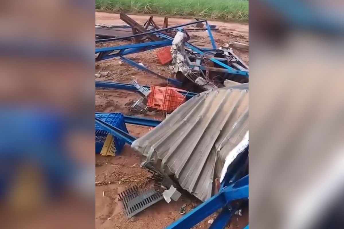 Vídeo: homem morre em desabamento de galpão após rajada de vento em SP