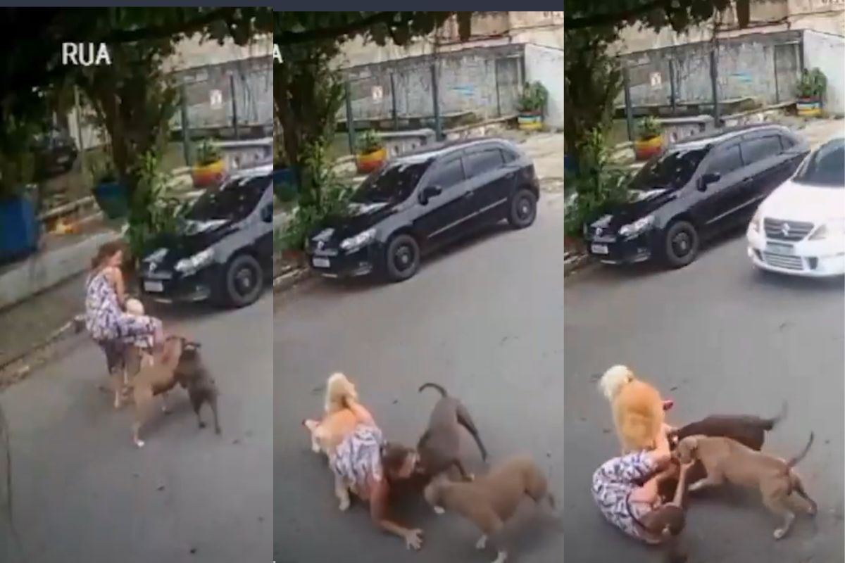 Grávida derrubada em briga de cães: “Tutor sequer pediu desculpas”