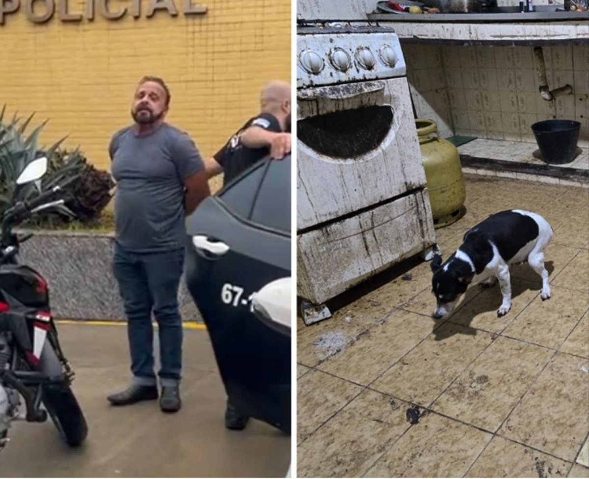Médico é preso após cães serem achados congelados em freezer de casa