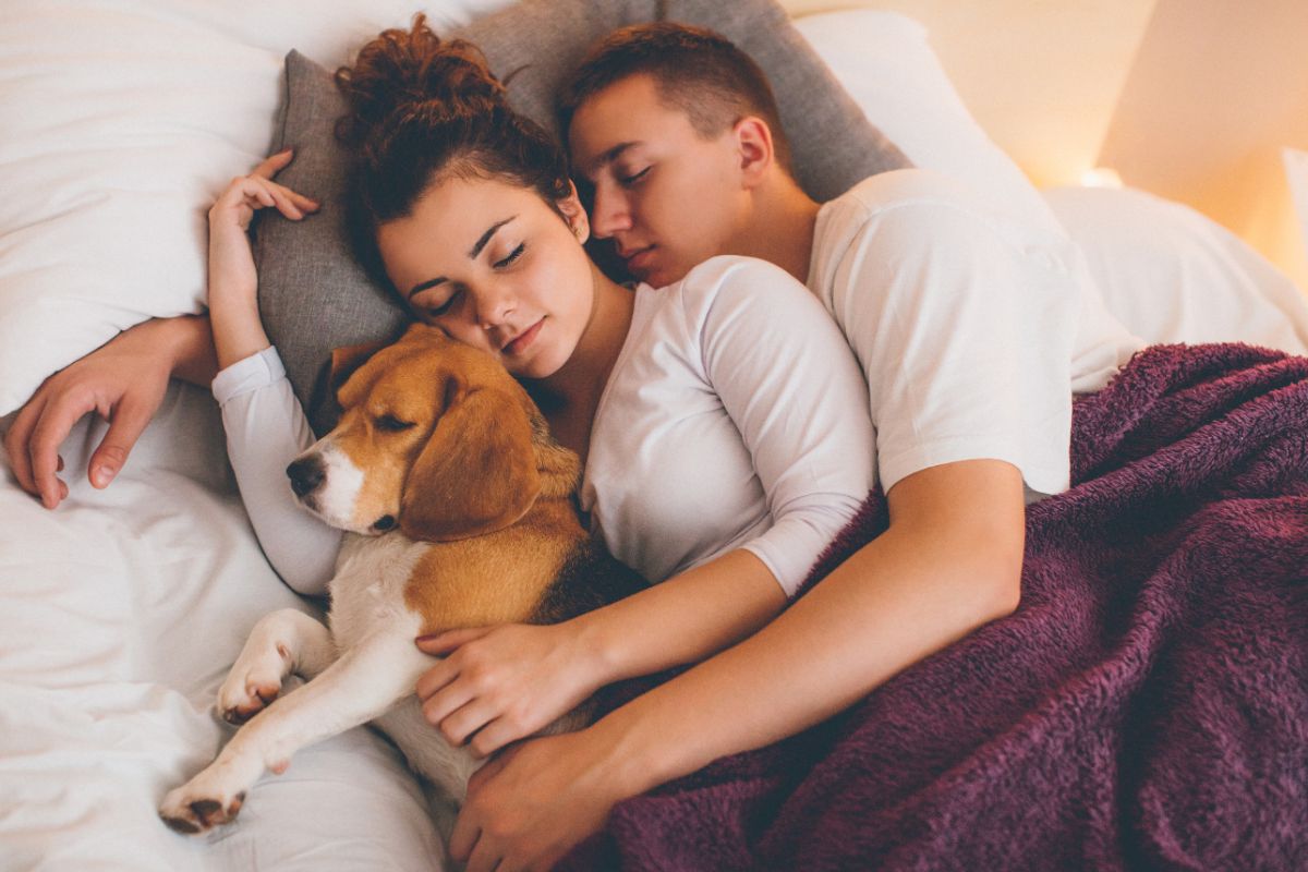 pessoas dormindo com cachorro