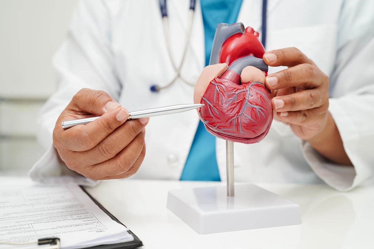 Saúde cardiovascular