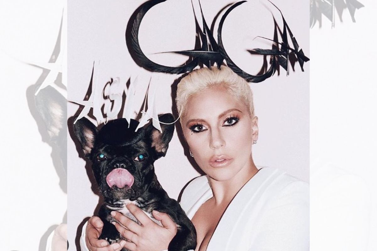 Lady Gaga e Miss Asia
