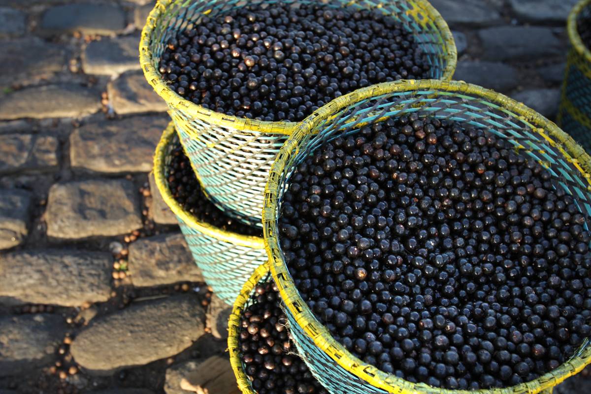 Foto colorida de cestas com açaí - Metrópoles