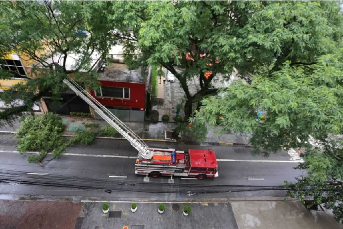 Homem sofre fratura exposta após cair de andaime no centro de SP