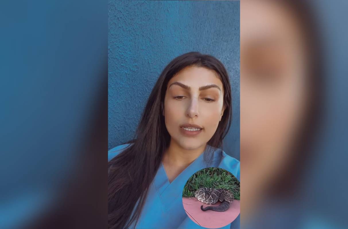 Corretora de imóveis é picada por cobra ao mostrar condomínio. Vídeo