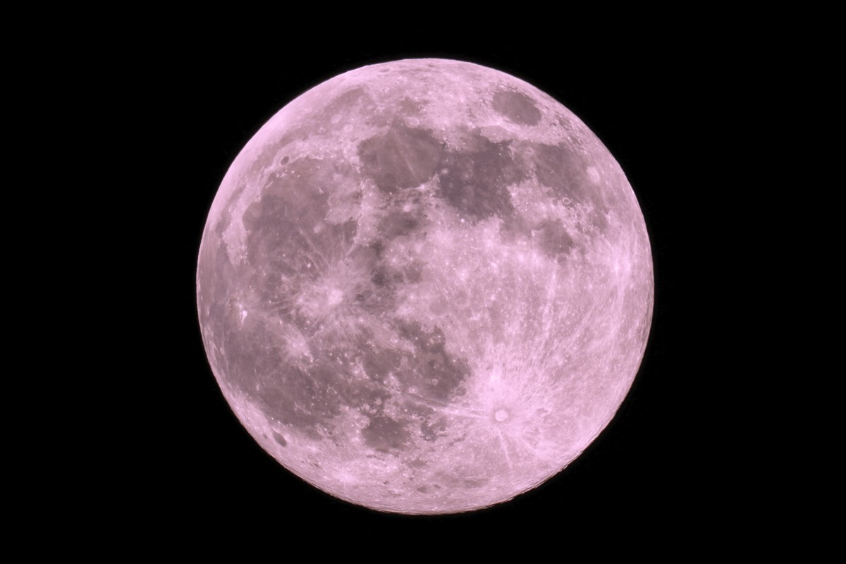 Imagem colorida de lua de flores - Metrópoles 