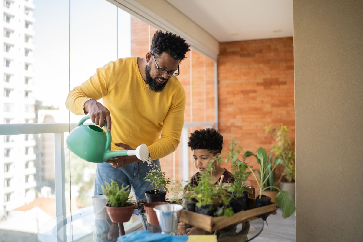 Planta que alivia dores nas articulações pode ser cultivada em casa