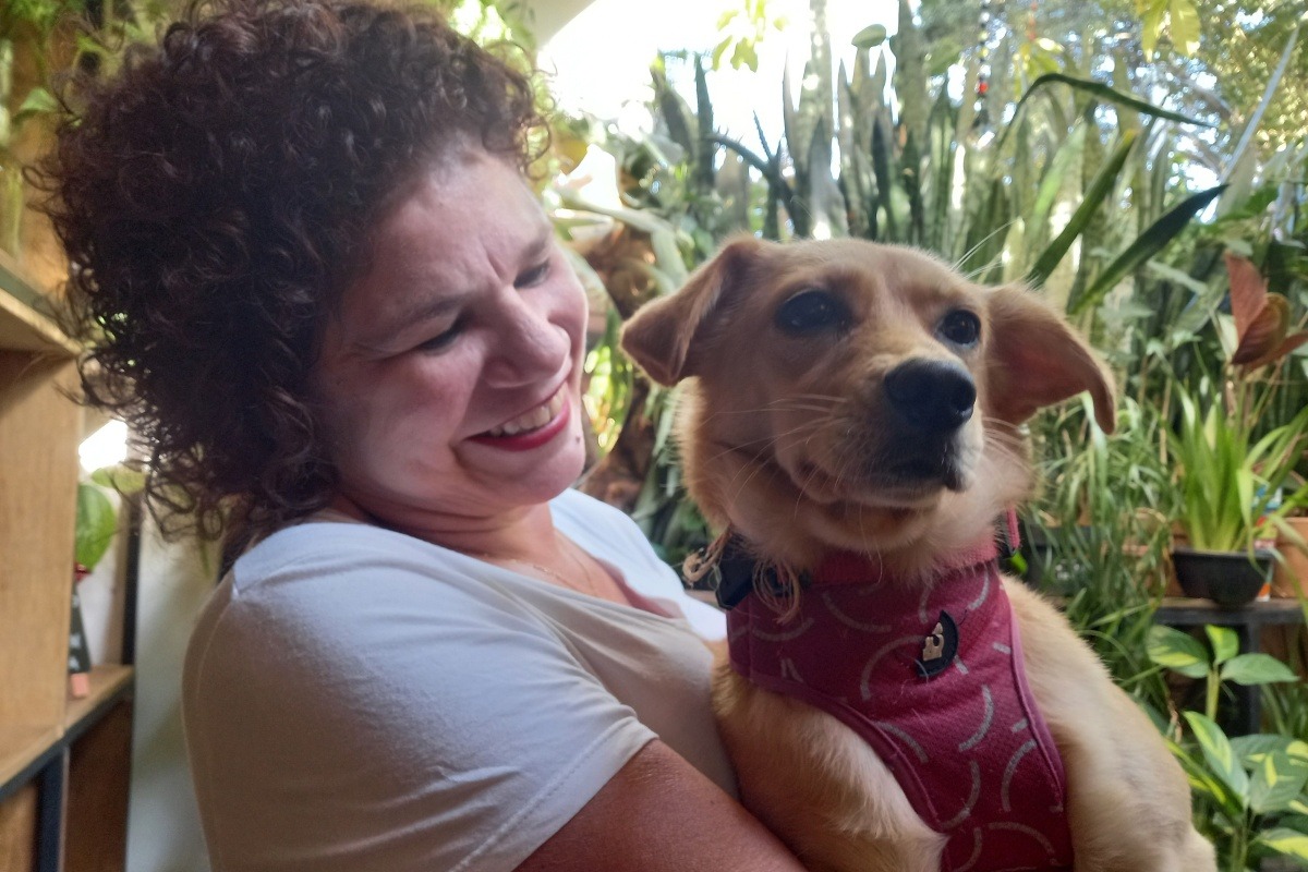 Tutores temem intoxicação de cachorros por plantas nas ruas de SP