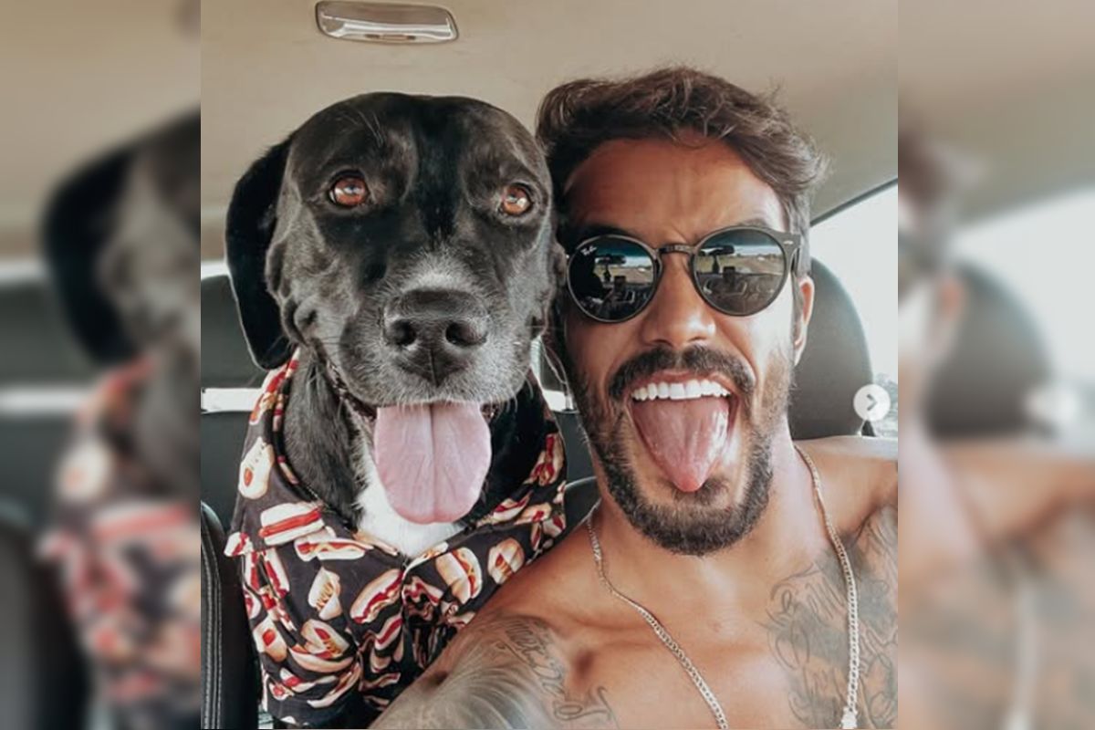 Cães enviados a hotel por ex-De Férias com Ex atacaram pintor no DF