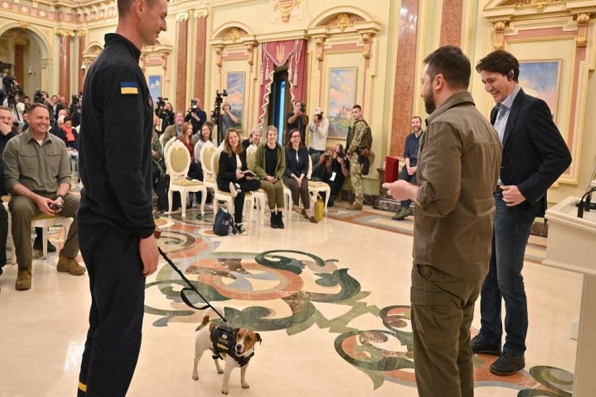 Imagem colorida de Zelensky e cão Preton - Metrópoles