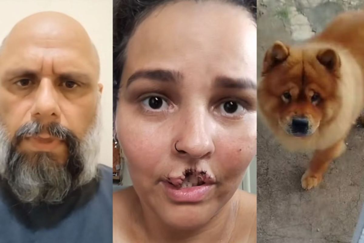 O que marido alegou para eutanásia em chow-chow que atacou mulher