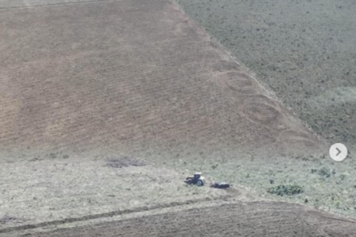 Kalungas denunciam desmatamento na Chapada dos Veadeiros