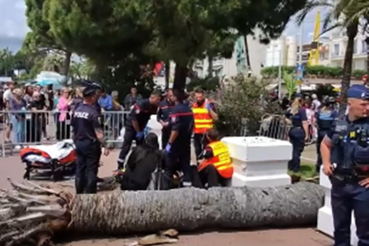 Palmeira cai em cima de produtor japonês durante o Festival de Cannes