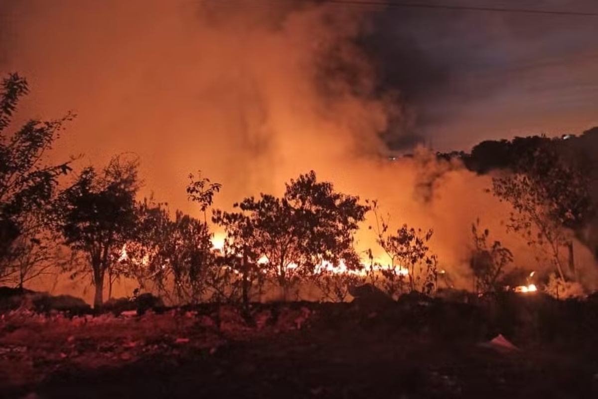 Incêndios de grandes proporções atingem mata de três cidades de SP