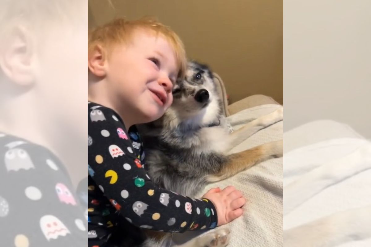 Foto colorida de menino abraçando cachorrinha