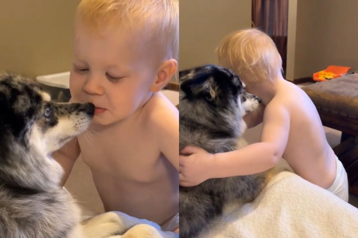 Foto colorida de menino abraçando cachorrinha