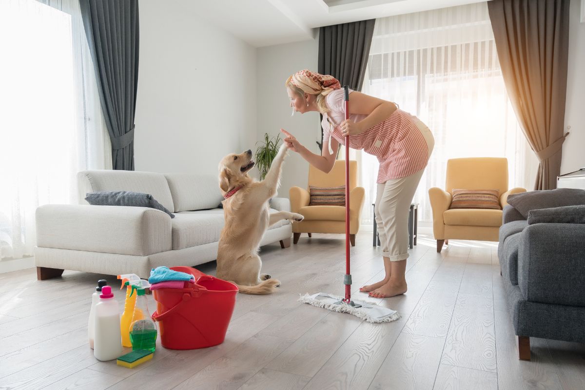 Foto colorida de mulher limpando xixi de cachorro em casa
