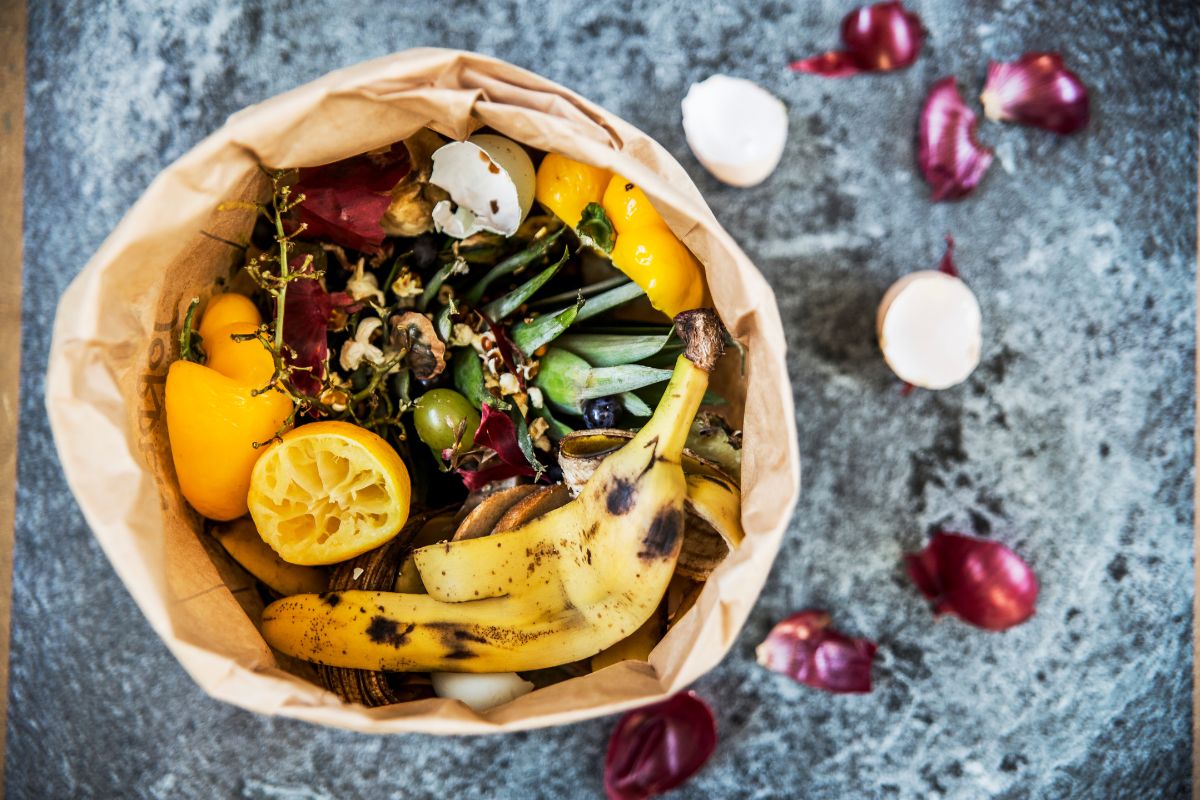 foto colorida de várias cascas de frutas em um saco