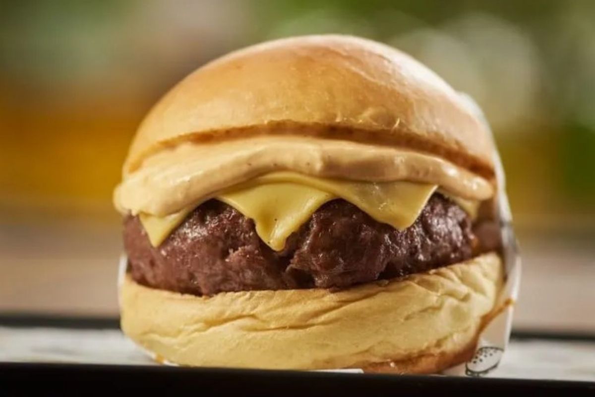 foto colorida de hamburguer