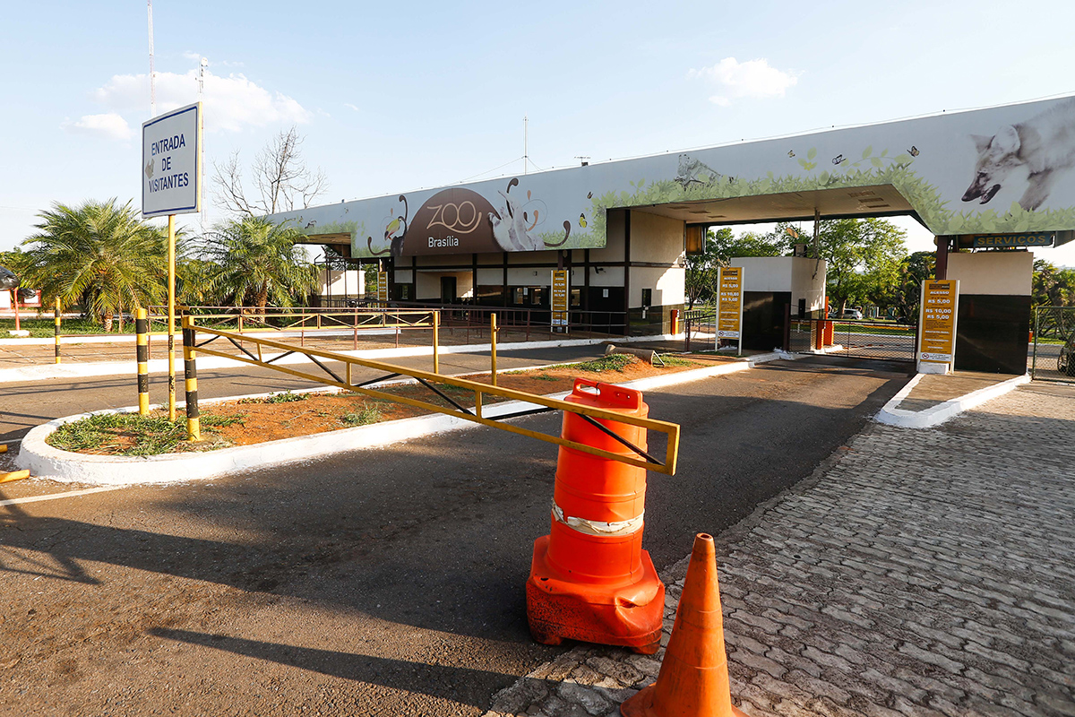 Exame confirma gripe aviária em animal morto no Zoológico de Brasília