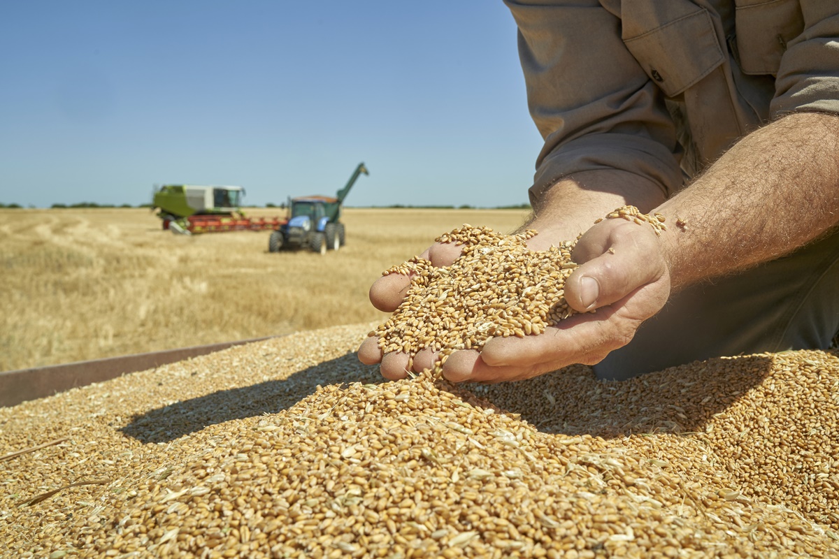 Apenas um país é autossuficiente em comida no mundo. Saiba qual
