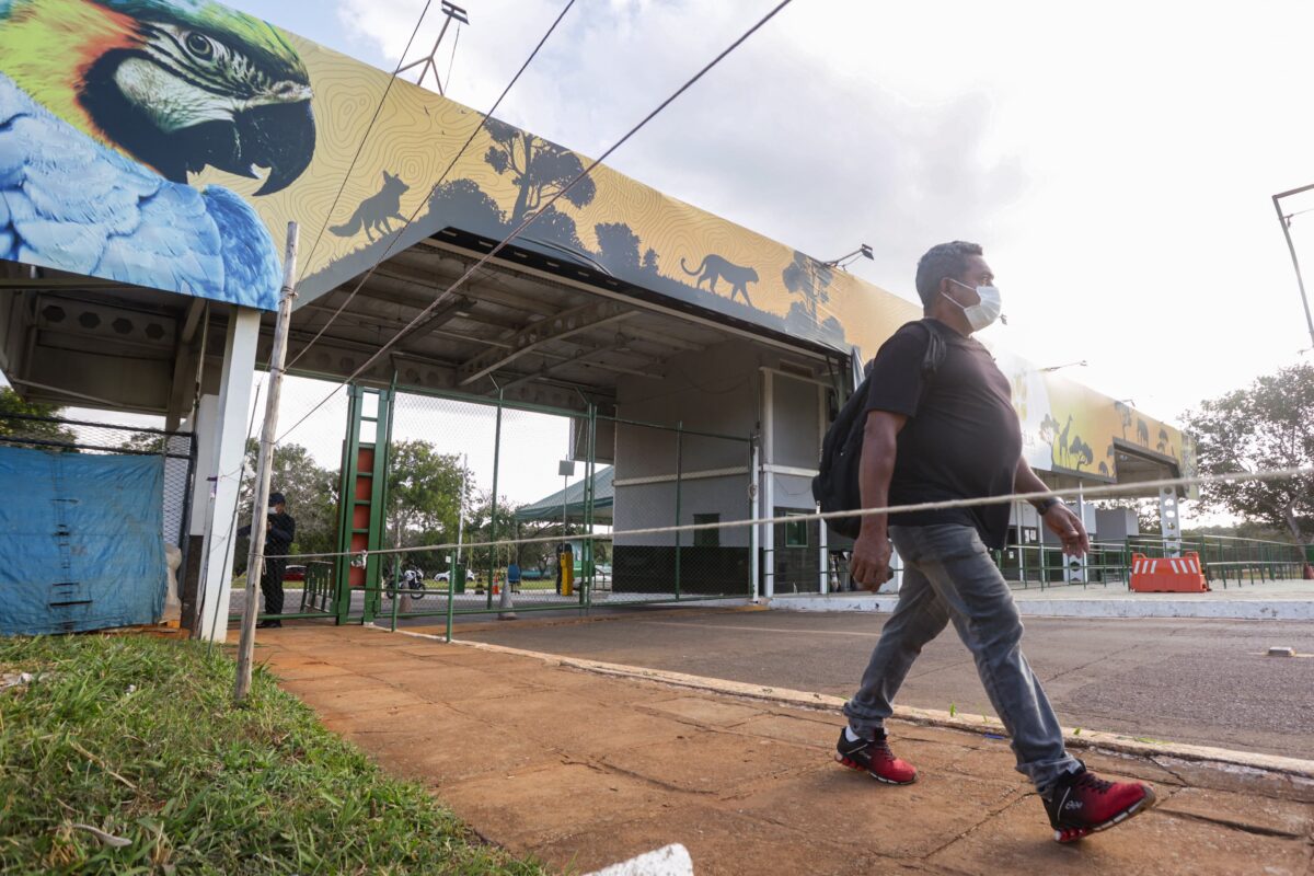 Ministério da Agricultura apura suspeita de gripe aviária no Zoo no DF
