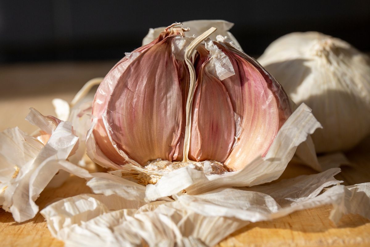 Farbfoto von Knoblauchschalen