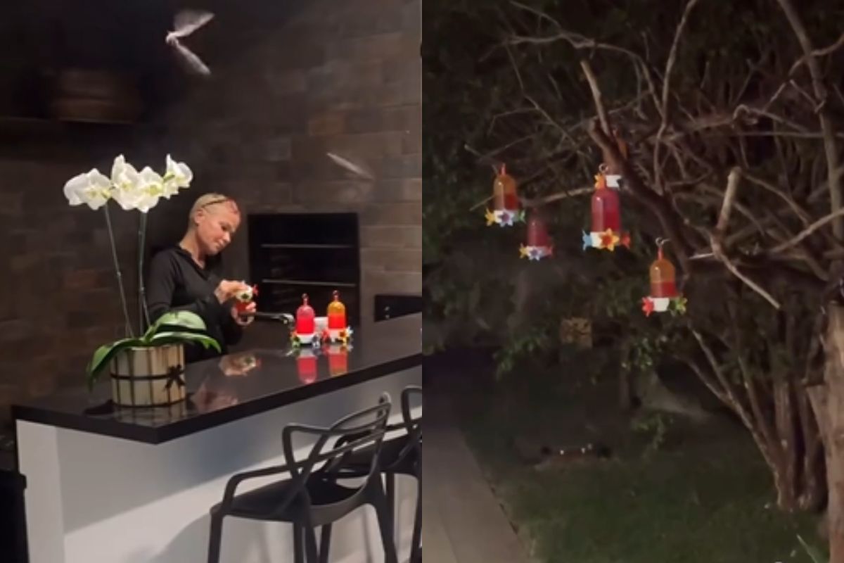 Xuxa chama atenção ao cuidar e alimentar morcegos em casa; veja vídeo