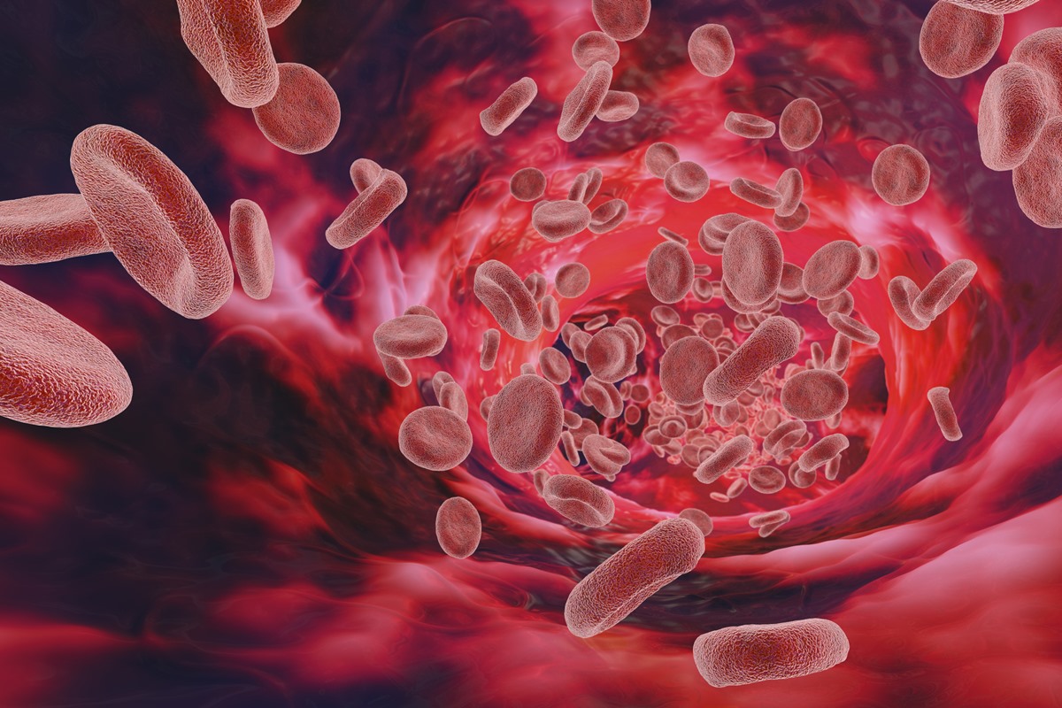 Os glóbulos vermelhos viajam através de um vaso ou veia nesta ilustração médica da biologia de um ser humano. Metrópoles