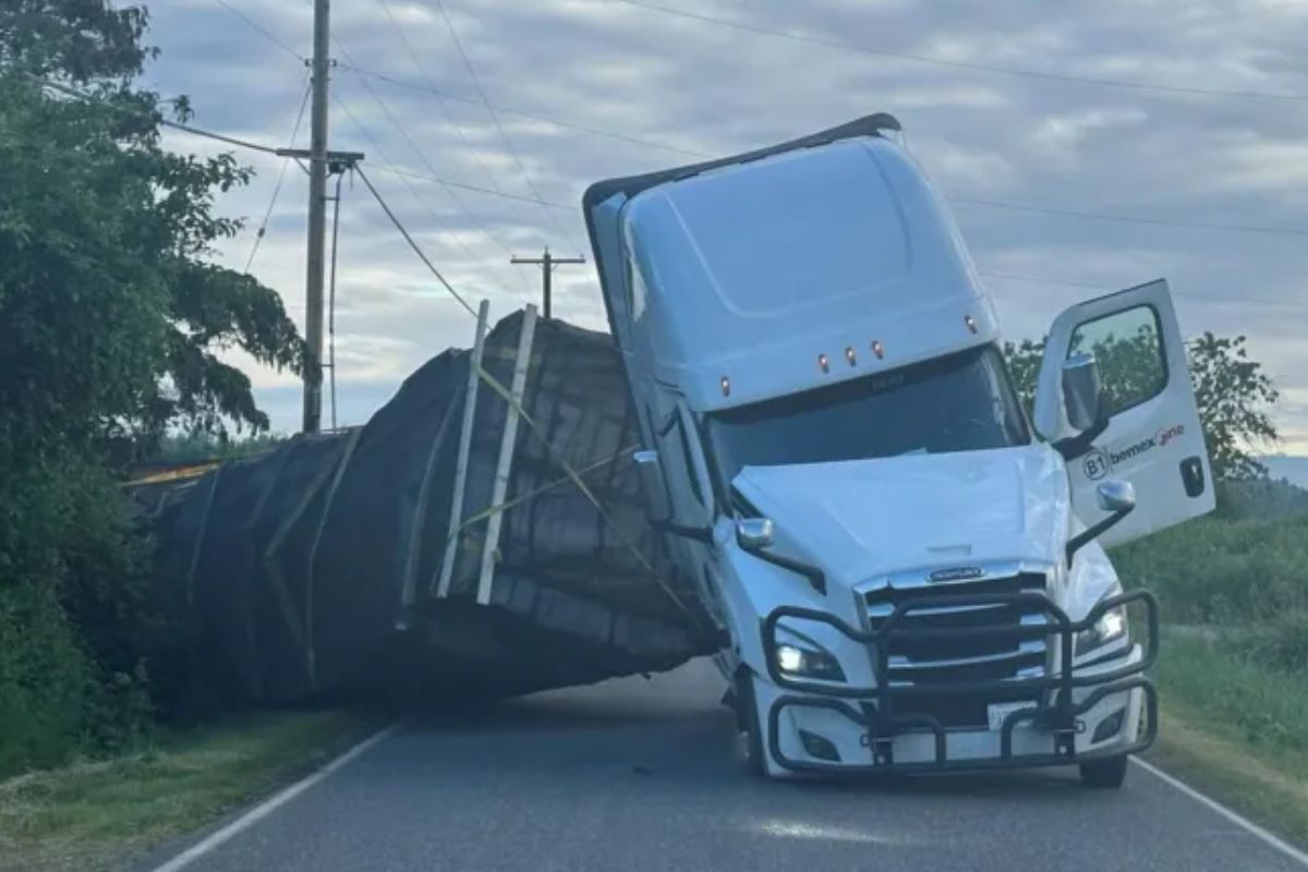 Vídeo: caminhão tomba e solta 14 milhões de abelhas nos Estados Unidos