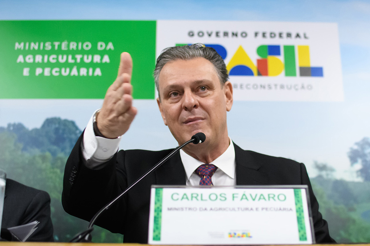 Agricultura investiga 2 novos casos suspeitos de gripe aviária no RS
