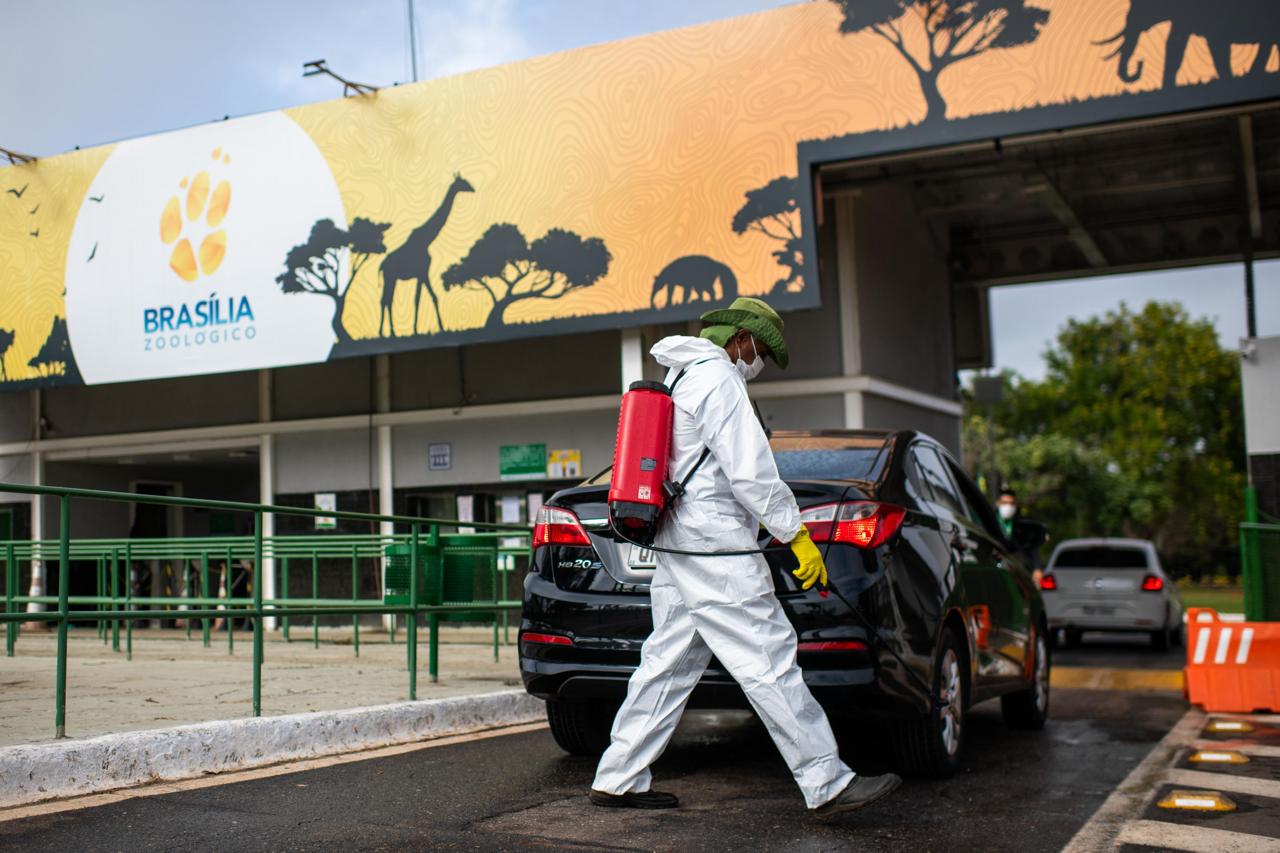 Zoo de Brasília seguirá fechado após nova suspeita de gripe aviária