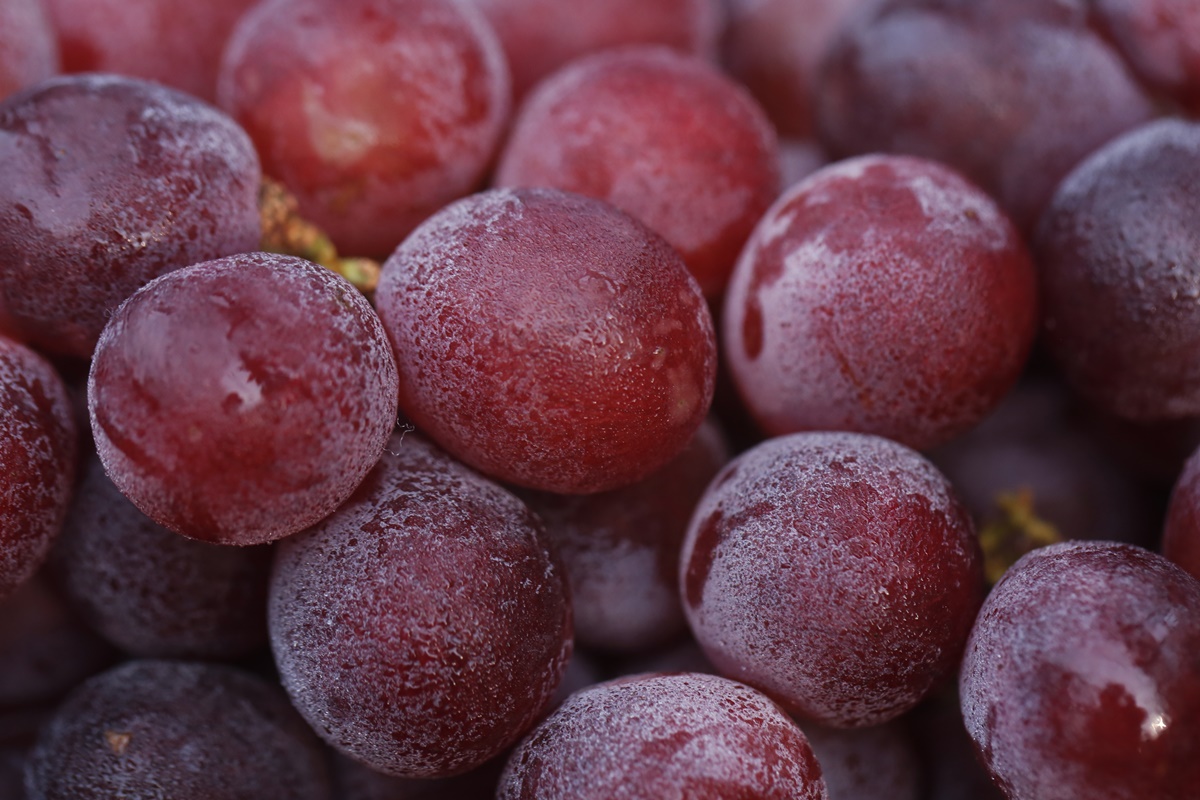 Imagem colorida de uvas roxas - Metrópoles 