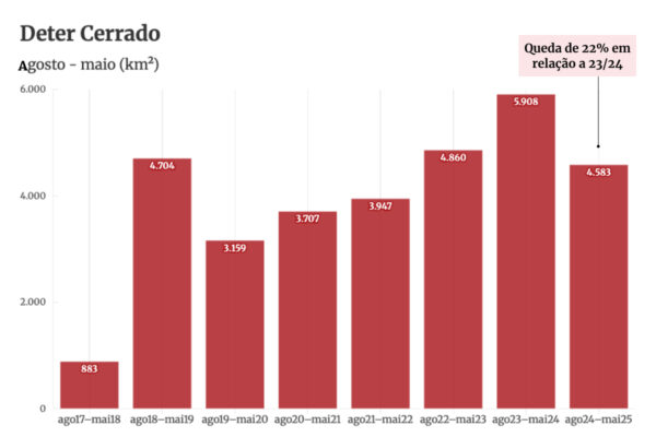Imagem colorida de desmatamento no Brasil - Metrópoles