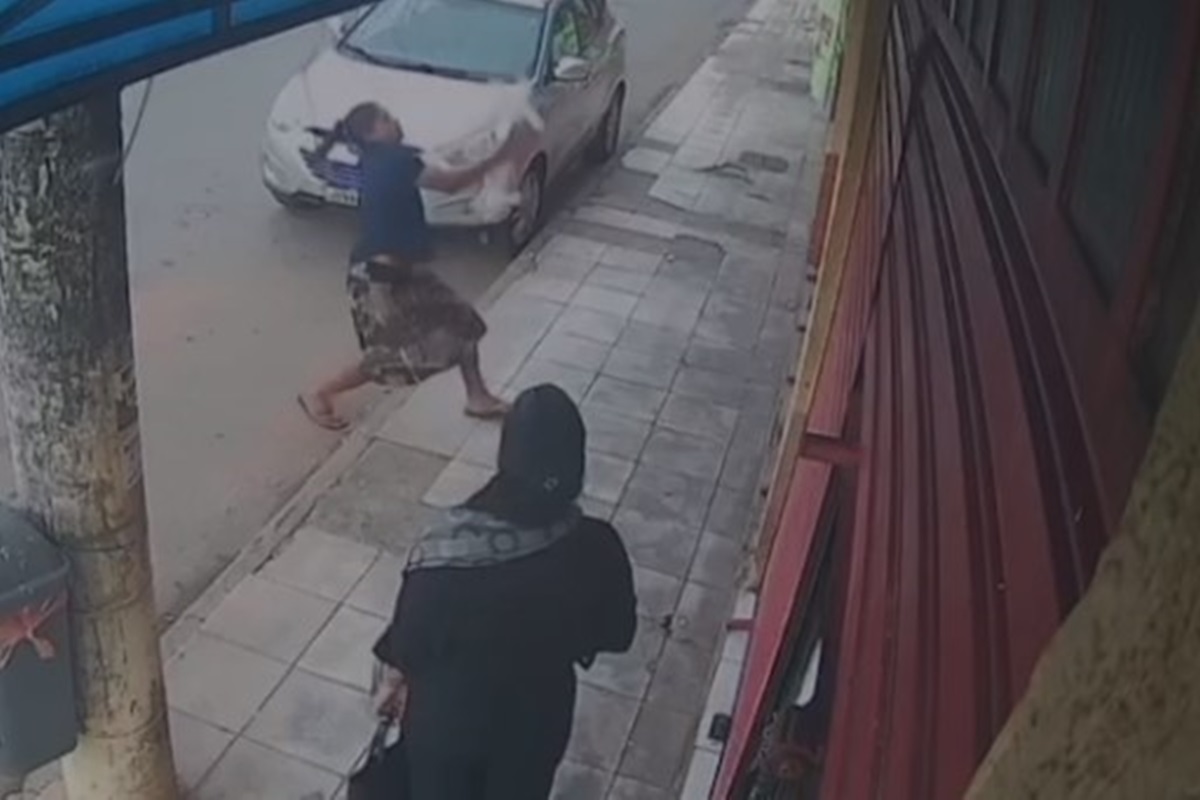 Protetora salva cachorrinho de queda de prédio no DF. Veja vídeo